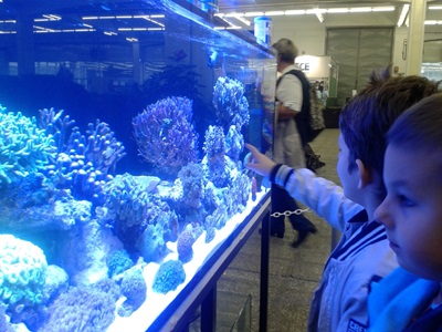 Posjet sajmu akvaristike i teraristike - slika broj: 5